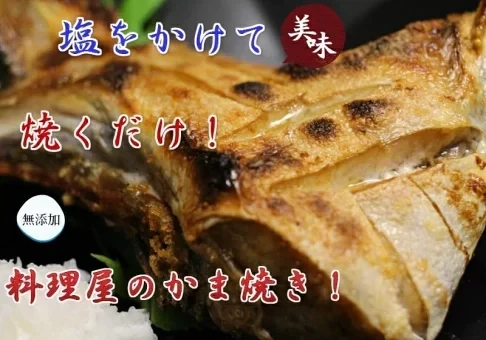 日本青甘魚下巴（寒鰤） 