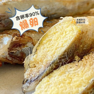 挪威鮮凍柳葉魚 