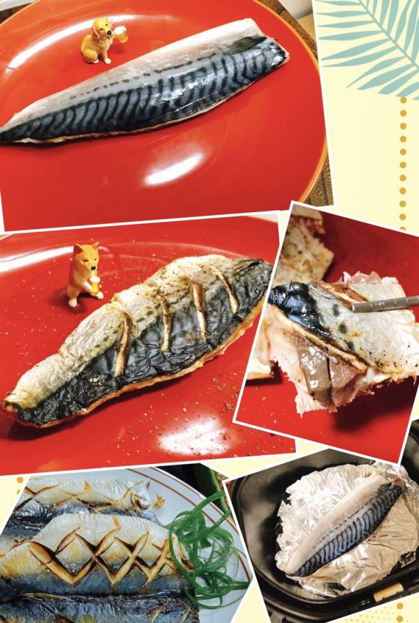 薄鹽鯖魚片 