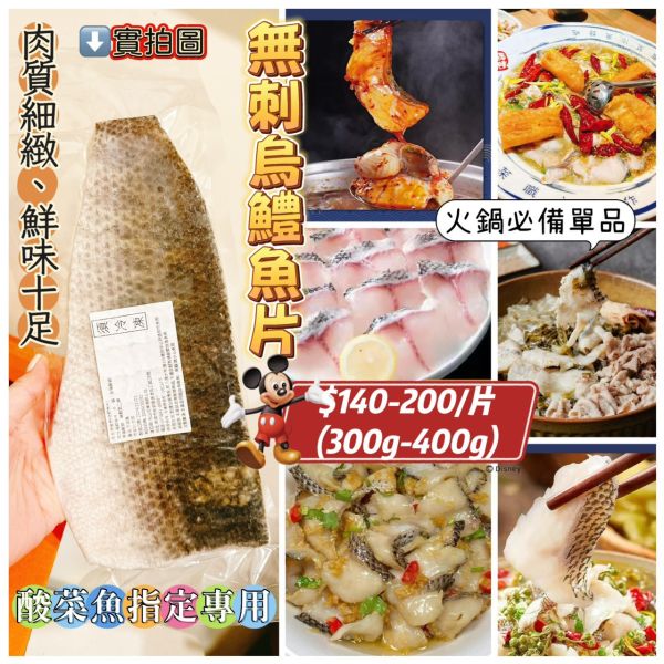 無刺烏鱧魚 