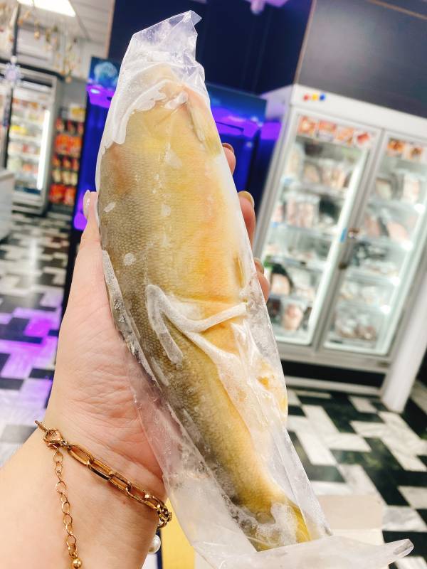 山泉界女王爆卵母香魚 母香魚