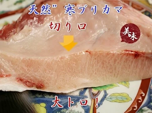 日本青甘魚下巴（寒鰤） 