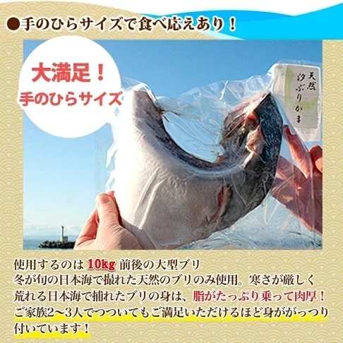 日本青甘魚下巴（寒鰤） 