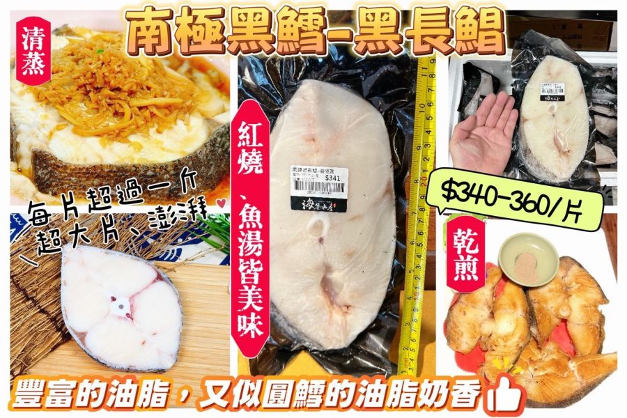 限量-超大片極品-南緯黑鱈 