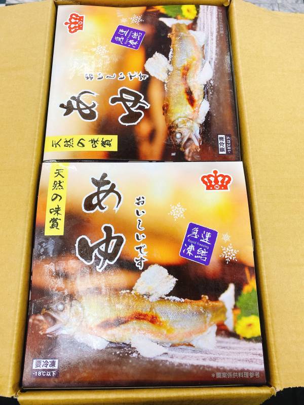山泉界女王爆卵母香魚 母香魚