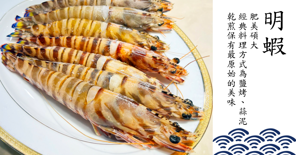 野生大明蝦 