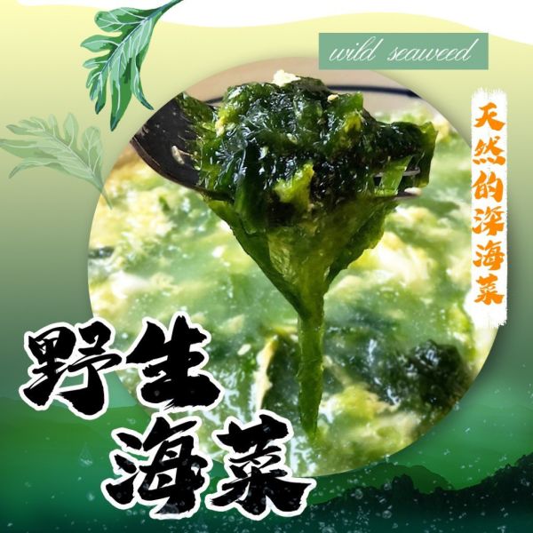 澎湖野生海菜 