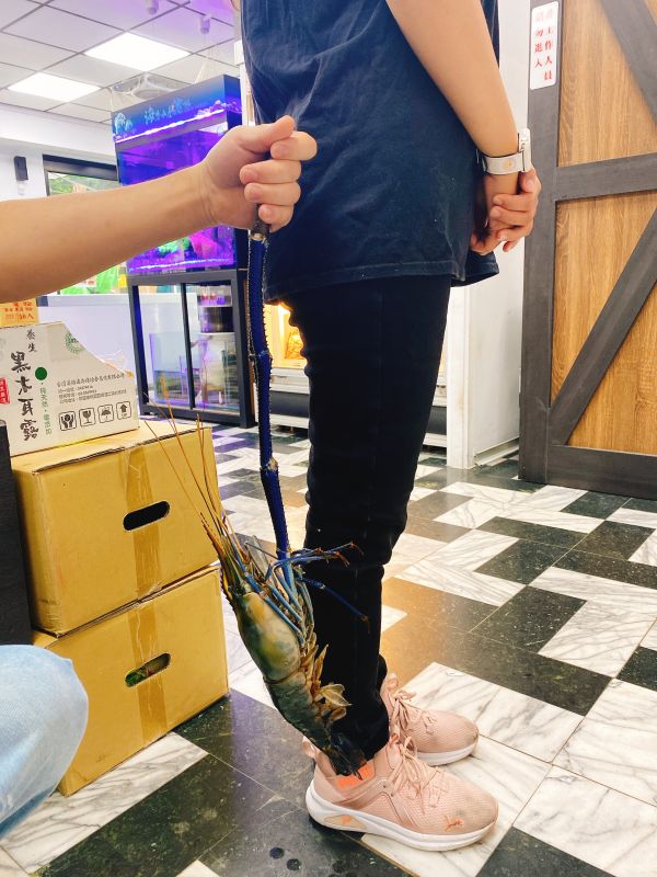 斯里蘭卡長臂蝦（每尾一斤以上） 