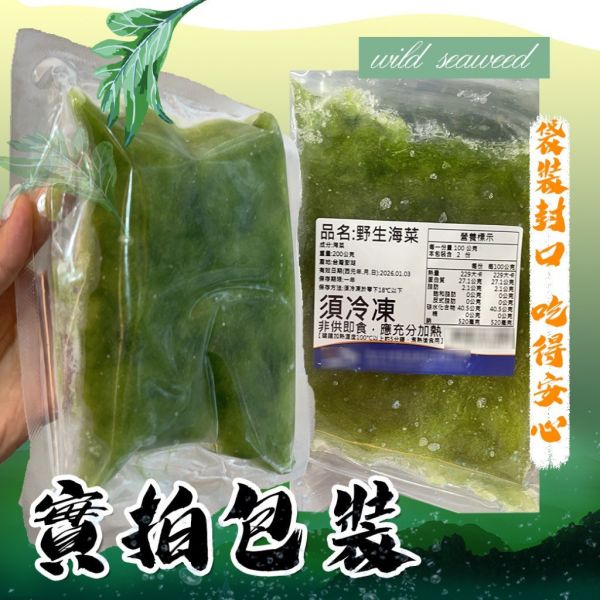 澎湖野生海菜 