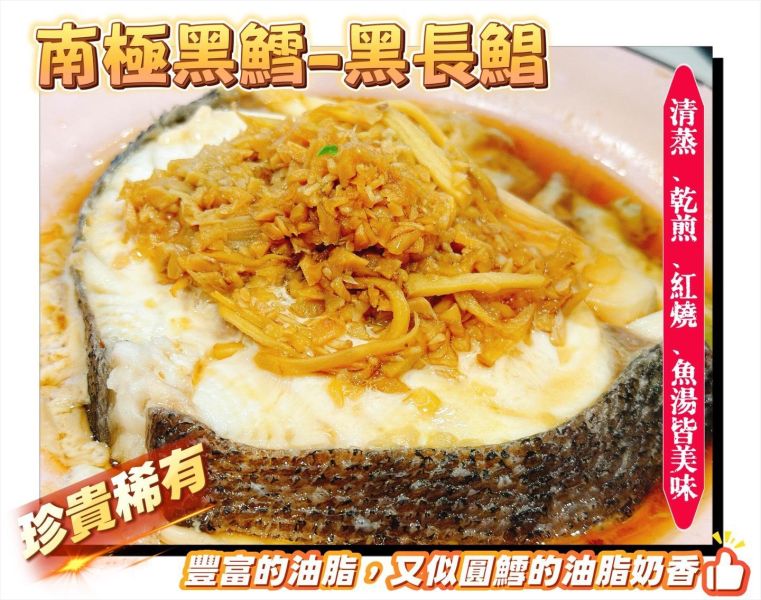 限量-超大片極品-南緯黑鱈 