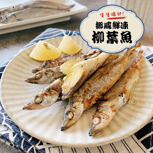 挪威鮮凍柳葉魚 