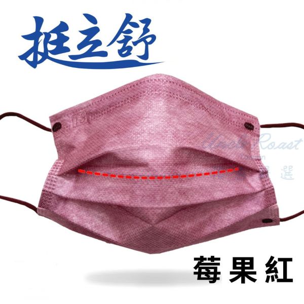【雙十國慶限定】挺立舒指定系列-任選10盒 支架口罩, 支撐型口罩, 內建支撐口罩, 隱藏支架口罩, TS口罩, 口罩, 挺立舒, MD, 醫療口罩,  支撐口罩, 立體口罩
