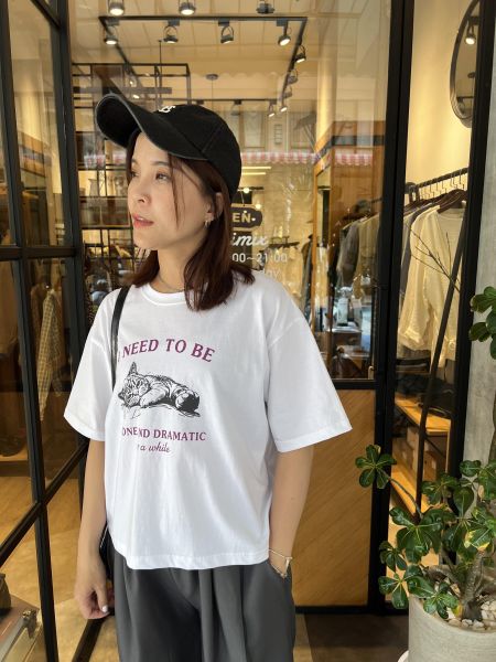 Ai04.人氣方型貓咪t 