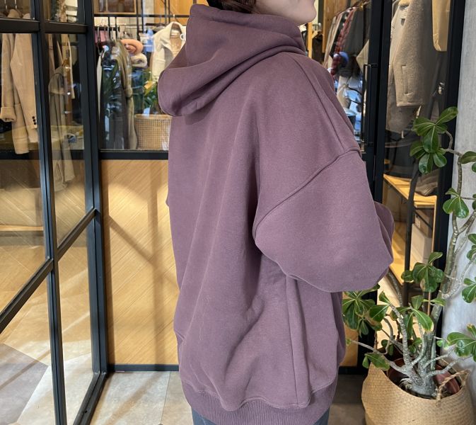 Hn111.必買質感美色連帽t! 