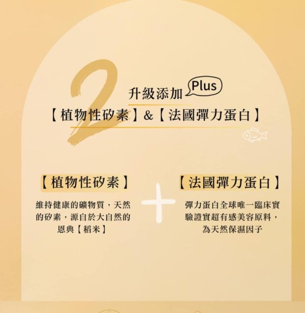 雙11活動限定美姬飲量販包！(100包贈10） 