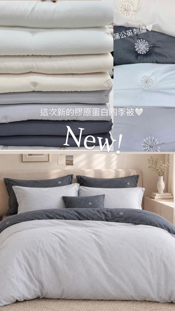Kg104.質感蒲公英四季被 