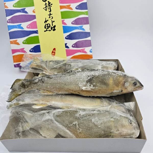 母香魚(盒裝) 香魚,母香魚,烤肉,抱卵,抱卵母香魚,烤肉食材宅配,中秋節烤肉,烤肉食材準備,海鮮宅配,海鮮批發,海鮮,新鮮,台中,水產,批發,宅配,魚