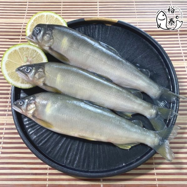 公香魚(8隻裝) 公香魚,香魚,烤肉,烤肉食材宅配,中秋節烤肉,烤肉食材準備,海鮮宅配,海鮮批發,海鮮,新鮮,台中,水產,批發,宅配,魚