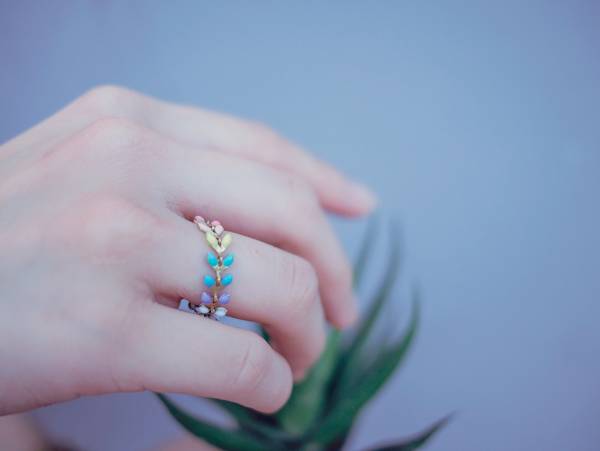 6 colour rainbow mistletoe with black/white 6 colour rainbow ring