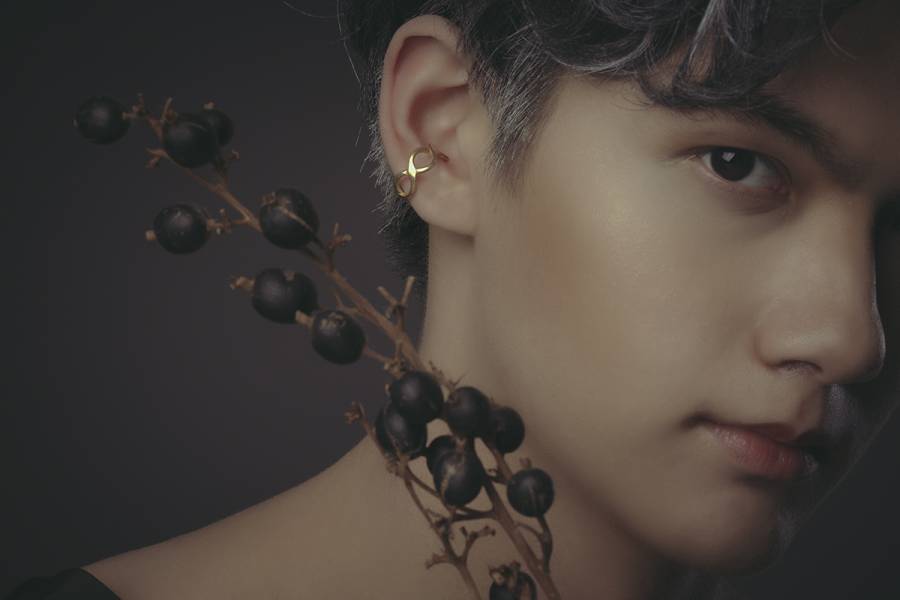 Alchemy Series – Infinity * Ear Cuff 黃銅 耳骨夾 耳窩夾 歐美