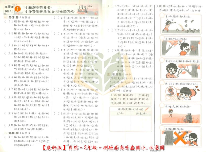 高升鑫國小 國小測驗卷 直說測驗卷 適用康軒 翰林 南一 114上 國小1~6年級 國語 數學 自然 社會 雙面試題 附解答 