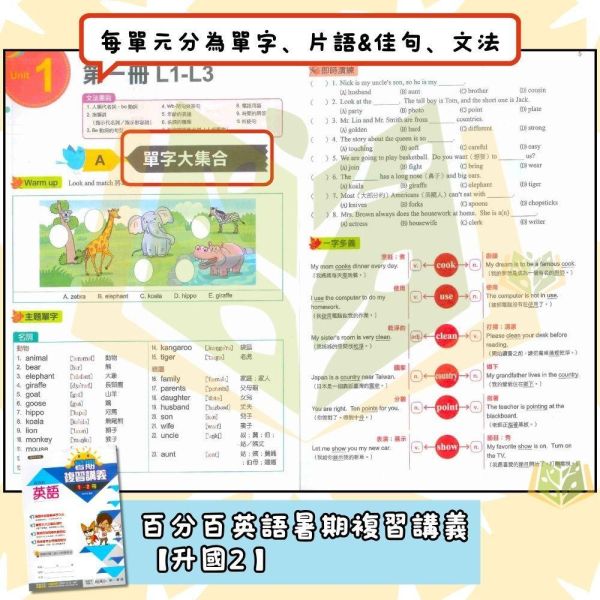 國中暑假先修｜南一國中 百分百暑假複習講義 1-2冊 國文／英語／數學 升國二（附解答） 國中先修,暑假複習,升國二,南一教材,百分百講義,國文英語數學,附解答,國中複習,暑假練習本,學習提升