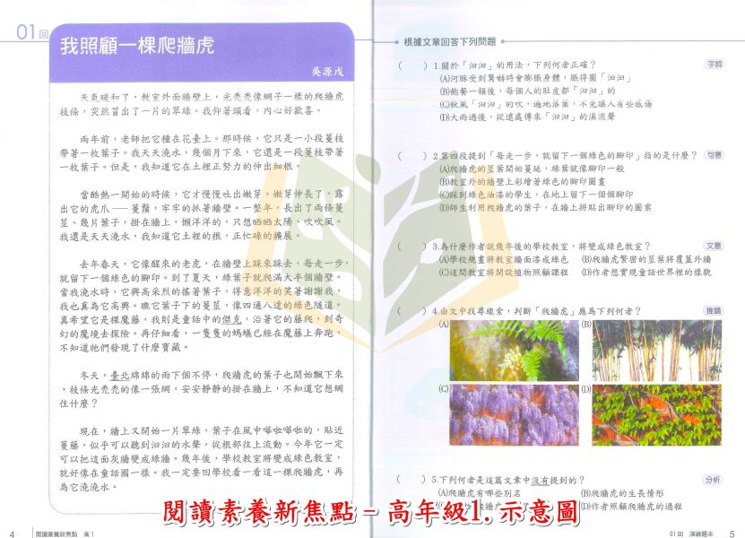 南一國小 閱讀素養新焦點 國小國語 中年級1~高年級4 附解答【國小國語輔材】 
