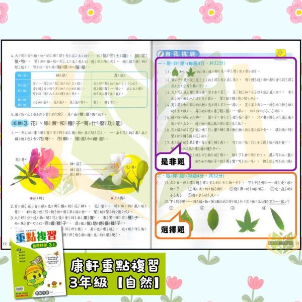 康軒國小 115上 最新版 重點複習《學生用/教師用》國小1~6年級 國語 數學 自然 社會 康軒重點複習、115上、國小複習教材、學生用無解答、教師用解答、國小1~6年級、國語、數學、自然、社會