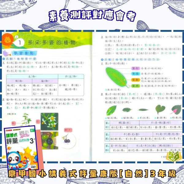 鼎甲國小【講義式評量】適用康軒 114下 國小1~6年級｜國語/數學/生活/自然/社會｜附解答+5回月考複習卷｜ 114下, 鼎甲, 國小評量, 講義式評量, 康軒版, 國語, 數學, 自然, 社會, 生活, 附解答, 月考複習卷, 條列重點, 補習班教材, 課後練習