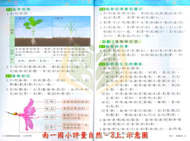 南一國小 評量 114上 113下 國小1~6年級 國語 數學 生活 自然 社會 附作業簿 附解答 