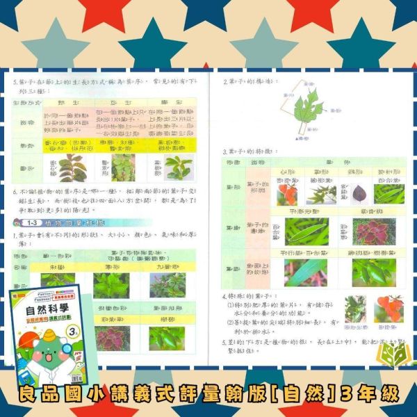 良品國小 115上｜【講義式評量】｜適用翰林版｜國小1~6年級｜國語/數學/生活/自然/社會｜附解答＋5回月考複習卷 良品國小115上,講義式評量,翰林版,國小評量,國語評量,數學評量,生活評量,自然評量,社會評量,月考複習卷,附解答