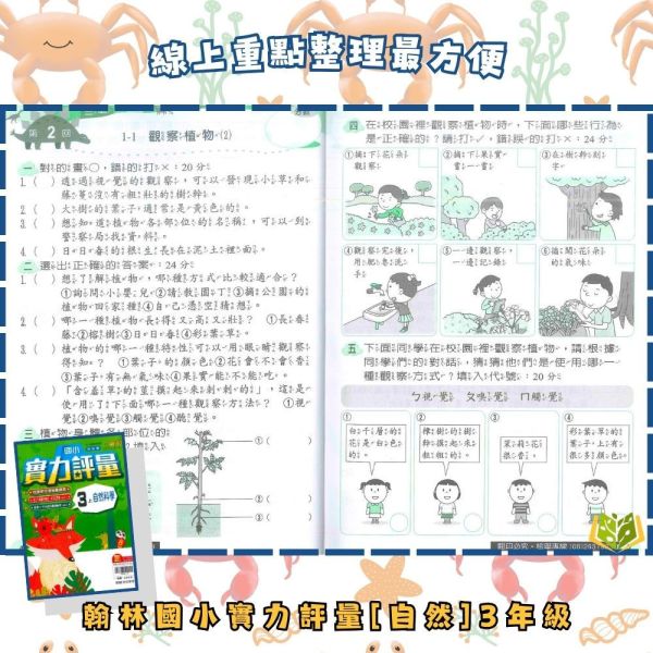 翰林國小 114下【國小評量】實力評量 國小1~6年級 國語 數學 生活 自然 社會 附練習簿/解答 114上, 翰林國小, 國小評量, 實力評量, 國語, 數學, 自然, 社會, 生活, 1~6年級, 練習簿, 附解答, 課後練習