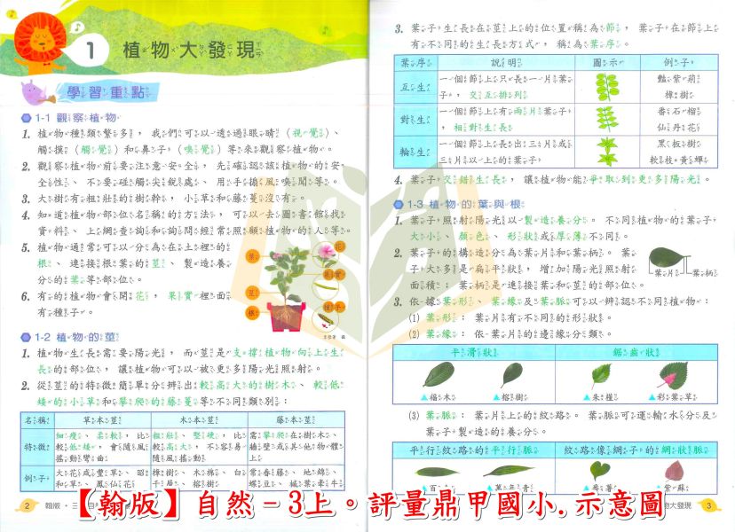 鼎甲國小 評量 講義式評量 適用翰林 114上 113下 國小1~6年級 國語 數學 生活 自然 社會 附解答 附5回月考複習卷 