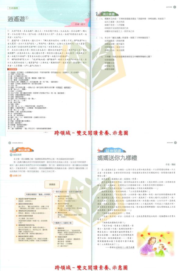 翰林國中 跨領域 文言文閱讀素養 雙文閱讀素養 議定會考的閱讀理解 國文 2030永續閱讀 圖示字意學文言【國中國文輔材】 