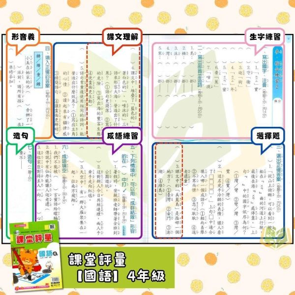 明霖國小 115上｜【課堂評量】國小評量｜適用南一版｜國小1~6年級｜國語/數學/生活/自然/社會｜附解答＋5回月考複習卷＋1回全冊複習卷 明霖國小115上,課堂評量,南一版,國小評量,國語評量,數學評量,生活評量,自然評量,社會評量,月考複習卷,全冊複習卷,附解答