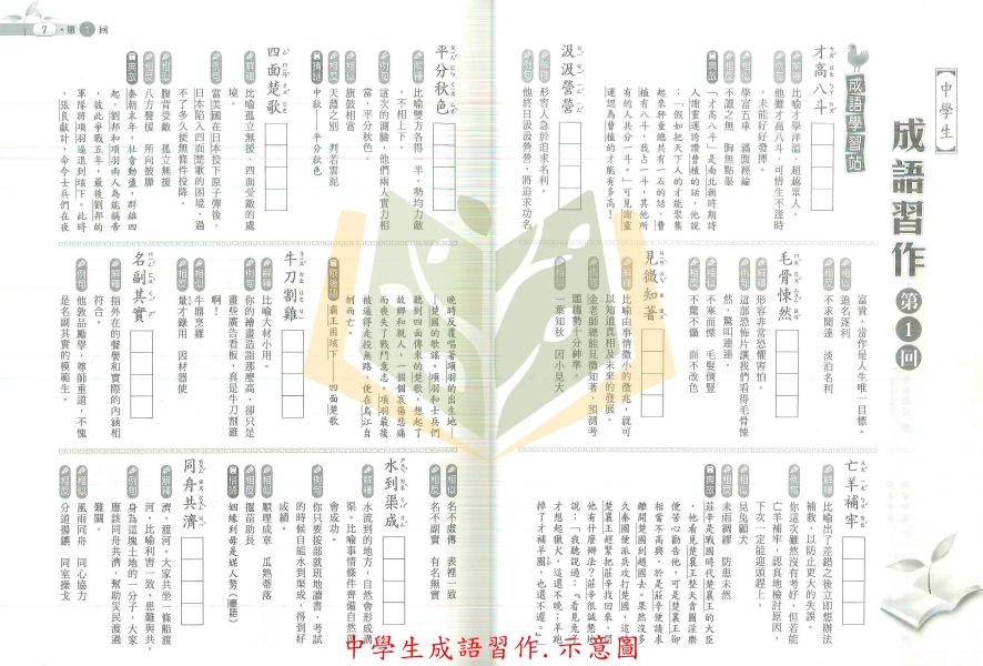 金安國中 閱讀解策略 文意思考判讀 中學生成語習作 附解答 