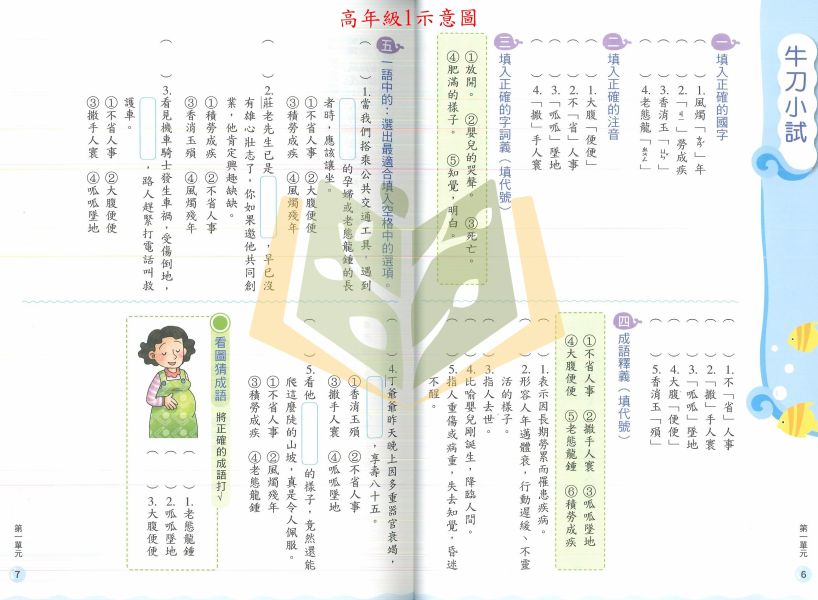 康軒國小 成語易上手 國小國語 中年級 高年級 附解答【國小國語輔材】 