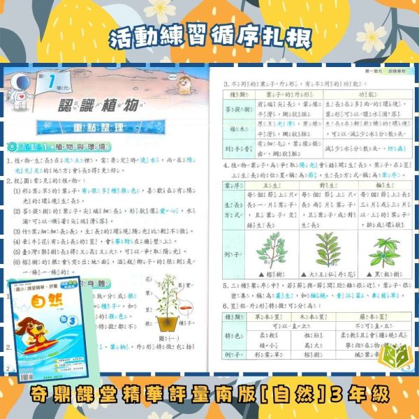 奇鼎國小 115上《課堂精華評量》適用南一 國小1~6年級 國語/數學/生活/自然/社會 附解答 附5回月考複習卷 115上, 奇鼎, 國小評量, 課堂精華評量, 南一版, 國語, 數學, 自然, 生活, 社會, 附解答, 月考複習卷, 安親班, 條列重點, 考前複習