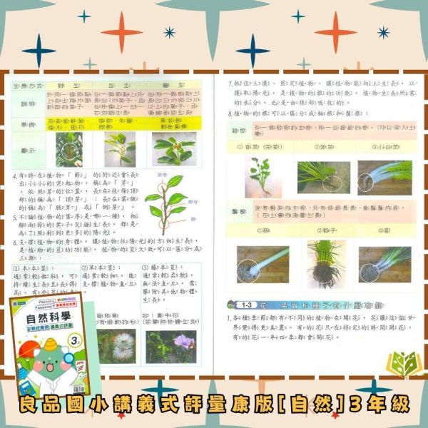 良品國小 115上｜【講義式評量】｜適用康軒版｜國小1~6年級｜國語/數學/生活/自然/社會｜附解答＋5回月考複習卷 良品國小115上,講義式評量,康軒版,國小評量,國語評量,數學評量,生活評量,自然評量,社會評量,月考複習卷,附解答