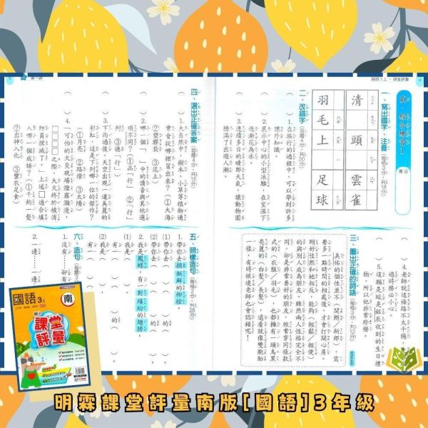 明霖國小 115上｜【課堂評量】國小評量｜適用南一版｜國小1~6年級｜國語/數學/生活/自然/社會｜附解答＋5回月考複習卷＋1回全冊複習卷 明霖國小115上,課堂評量,南一版,國小評量,國語評量,數學評量,生活評量,自然評量,社會評量,月考複習卷,全冊複習卷,附解答