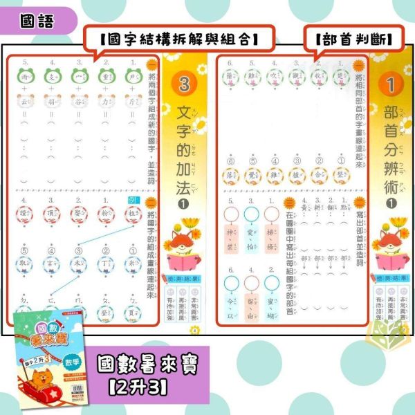 國小暑假先修｜政大國小 國數暑來寶 2-6年級（附解答） 