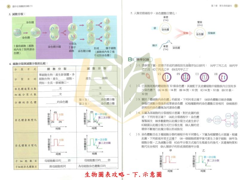 南一國中 高手 自然圖表 生物圖表攻略 上冊 下冊【國中數理輔材】 