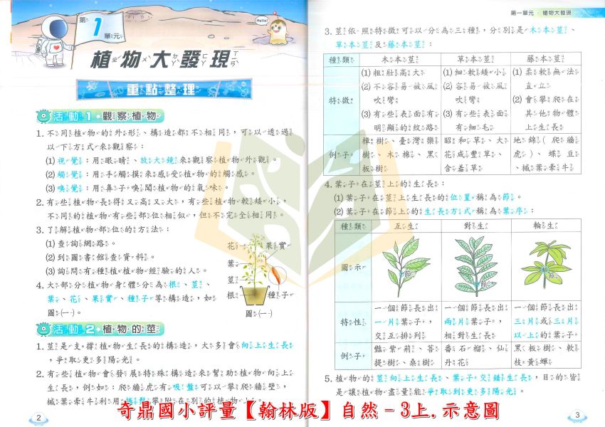 奇鼎國小 114上 最新版 國小評量《課堂精華評量》適用翰林 國小1~6年級 國語 數學 生活 自然 社會 附解答 附5回月考複習卷 114上, 奇鼎, 國小評量, 課堂精華評量, 翰林版, 國語, 數學, 自然, 生活, 社會, 附解答, 月考複習卷, 安親班, 條列重點, 考前複習