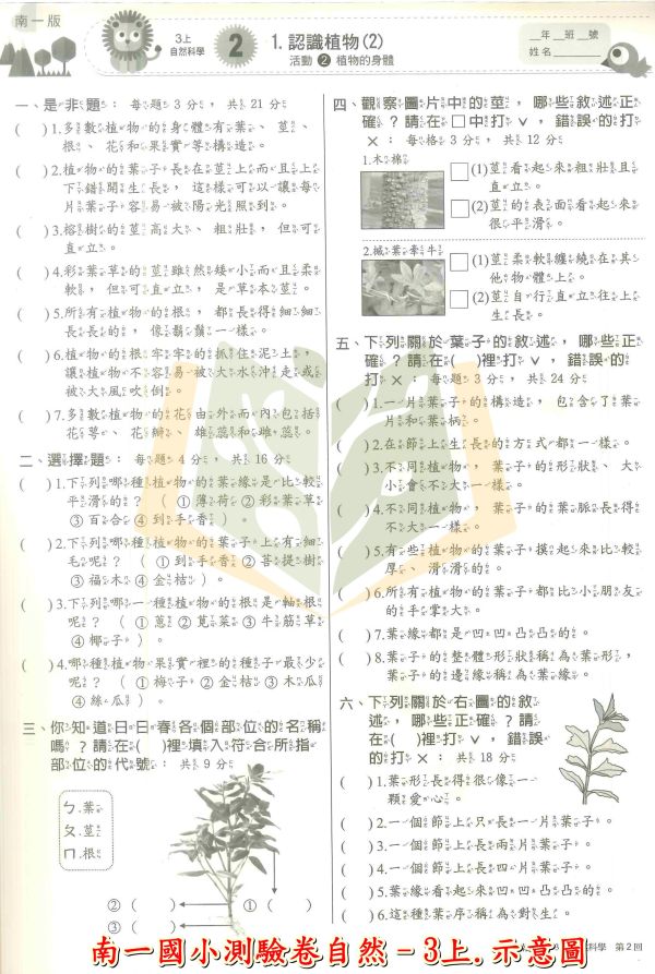 南一國小 114上 最新版《國小測驗卷》國小1~6年級 國語 數學 生活 自然 社會 附解答+雙面試題 114上, 南一國小, 國小測驗卷, 國小考卷, 模擬試題, 雙面試題, 可撕式, 國語, 數學, 自然, 社會, 生活, 附解答, 考前複習