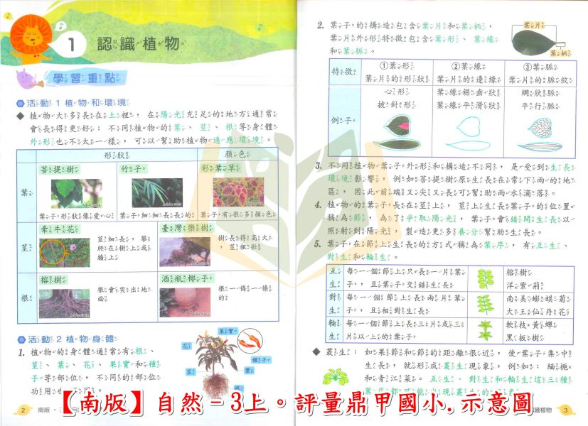 鼎甲國小 評量 講義式評量 適用南一 114上 113下 國小1~6年級 國語 數學 生活 自然 社會 附解答 附5回月考複習卷 