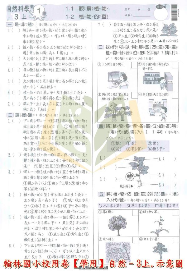 翰林國小 114上 最新版《國小校用卷》國小8K學習評量單 國小1~6年級 國語 數學 生活 自然 社會 《學用+解答》 翰林國小校用卷、國小8K學習評量單、8K學習評量單、114上最新版、國語.數學.生活.自然.社會、國小題本解答、期中期末複習