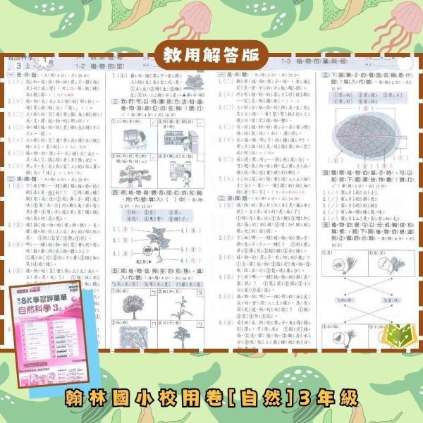 【預購】翰林國小 115上｜【國小校用卷】國小8K學習評量單｜國小1~6年級｜國語/數學/生活/自然/社會｜《學用+解答》 翰林國小115上,國小校用卷,8K學習評量單,翰林評量單,國語評量,數學評量,生活評量,自然評量,社會評量,學用,解答