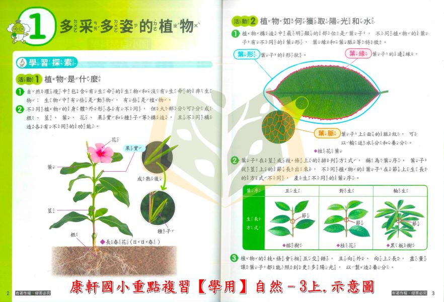 康軒國小 114上 最新版 重點複習《學生用/教師用》國小1~6年級 國語 數學 自然 社會 康軒重點複習、114上、國小複習教材、學生用無解答、教師用解答、國小1~6年級、國語、數學、自然、社會