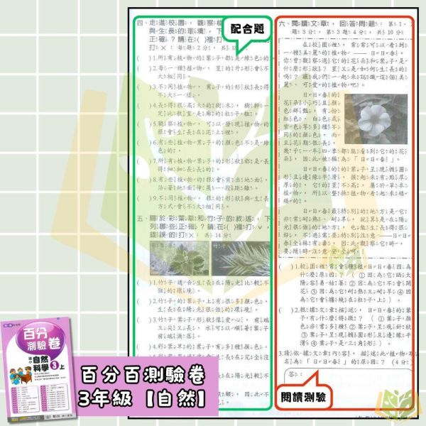 南一國小 115上｜【國小測驗卷】｜國小1~6年級｜國語/數學/生活/自然/社會｜附解答＋雙面試題 南一國小115上,國小測驗卷,南一測驗卷,國語測驗卷,數學測驗卷,生活測驗卷,自然測驗卷,社會測驗卷,附解答,雙面試題