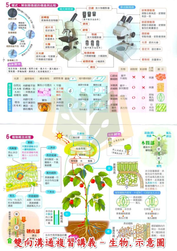 金安國中 115會考 雙向溝通 複習講義 國文 英語 數學 生物 理化 地理 歷史 公民 附解答【國中會考】 